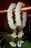 Handcrafted White Pearl Gajra Bracelet with Cluster Tassels